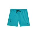 Spodenki damskie - DeFacto Męskie szorty Board, turkusowy, L - miniaturka - grafika 1