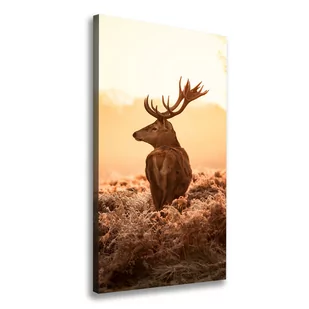 Foto obraz na płótnie pionowy Jeleń wschód słońca - Obrazy i zdjęcia na płótnie - miniaturka - grafika 1