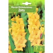 Nasiona i cebule - Gladiolus- Mieczyk Żółty 10/12 7 Szt. - miniaturka - grafika 1