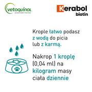Suplementy i witaminy dla psów - Vetoquinol BIOWET Kerabol 50ml - miniaturka - grafika 1