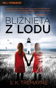 Bliźnięta z lodu - E-booki - kryminał i sensacja - miniaturka - grafika 1