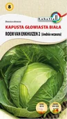 Nasiona i cebule - Kapusta Roem Van Enkhuizen 2 nasiona 2g / L / - miniaturka - grafika 1