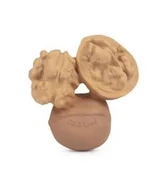 Gryzaki dla dzieci - Oli & Carol - Gryzak-zabawka - Orzechy włoskie Nutty - miniaturka - grafika 1