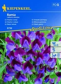 Nasiona i cebule - Groszek Pachnący Ramia – Kiepenkerl - miniaturka - grafika 1