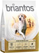 Sucha karma dla psów - Briantos Adult Maxi - 1 kg - miniaturka - grafika 1