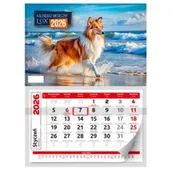 Kalendarze - Kalendarz 2026 ścienny miesięczny lux - miniaturka - grafika 1