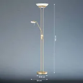 Lampy stojące - FISCHER & HONSEL Lampa stojąca LED Pool, kolor mosiądz, wysokość 182 cm, 2-punktowa. - miniaturka - grafika 1