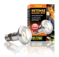 Akcesoria do terrarium - EXO TERRA INTENSE BASKING SPOT żarówka 75W - miniaturka - grafika 1