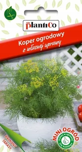 NASIONA Koper Ogrodowy 2g PLANTICO Na Balkon Taras 426535 - Nasiona i cebule - miniaturka - grafika 1