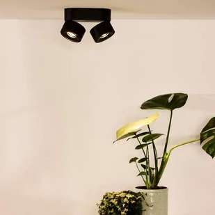 Lucide YUMIKO Lampa Sufitowa LED Czarny 2-punktowe Nowoczesny Obszar wewnętrzny YUMIKO 35911/16/30 - Lampy sufitowe - miniaturka - grafika 1