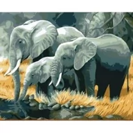 Malowanie po numerach - Norimpex Malowanie po numerach. Słonie rodzina nad rzeką 40 x 50 cm - miniaturka - grafika 1