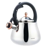 Czajniki na gaz - CZAJNIK STALOWY Z GWIZDKIEM 2,8L KLAUSBERG KB-7776 - miniaturka - grafika 1