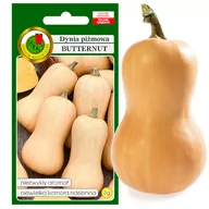 Nasiona i cebule - DYNIA PIŻMOWA BUTTERNUT AROMAT NASIONA BEZ GMO 3g - miniaturka - grafika 1