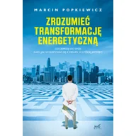 Felietony i reportaże - Zrozumieć transformację energetyczną Od depresji do wizji albo jak wykopywać się z dziury, w której jesteśmy - miniaturka - grafika 1