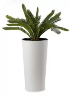 Donice - Doniczka Donica Osłonka WYSOKA Biała KWIETNIK PALMÓWKA 57cm na Balkon Taras do Ogrodu - miniaturka - grafika 1