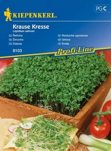 Kiepenkerl Rzeżucha ogrodowa Krause Kresse Lepidium sativum 102317 - Nasiona i cebule - miniaturka - grafika 1