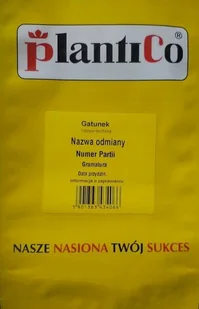 Kapusta włoska Langedijska 50 g POLAN - Nasiona i cebule - miniaturka - grafika 1