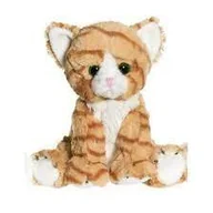 Maskotki i pluszaki - Teddy Kompaniet 02716 Plusz Kot 18Cm Mix 168 - miniaturka - grafika 1