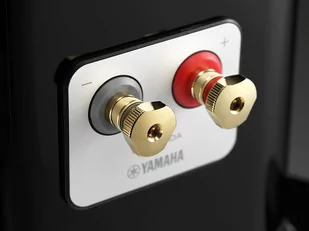 Yamaha NS-2000A - Głośniki i kolumny - miniaturka - grafika 3
