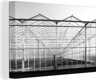 OneMillionCanvasses® - Obraz na płótnie - Obraz na płótnie na ścianę - Szklarnia w holenderskim regionie Westland - czarno-biały - 90x60cm - Obraz na płótnie na ścianę - Szklarnia w holenderskim regionie Westland - czarno-biały - 90x60cm - - Szklarnie ogrodowe - miniaturka - grafika 1