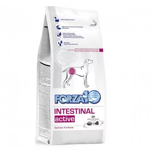 Forza10 Intestinal Active 4 kg - Sucha karma dla psów - miniaturka - grafika 1