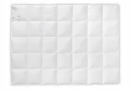 Kołdry - AMZ Szamotuły Kołdra Puchowa 200x200 Basic Plus Letnia Puch 70% 34EA-444FC - miniaturka - grafika 1