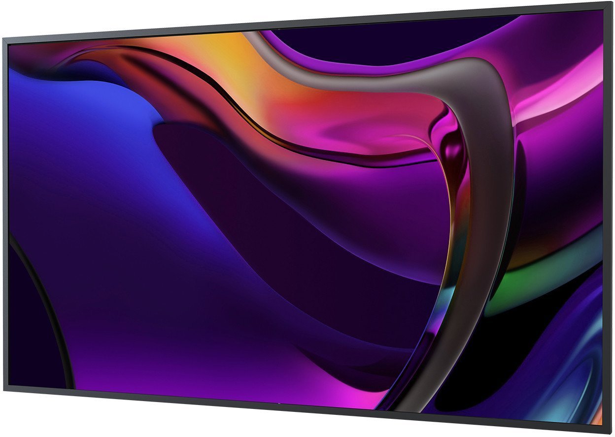 Sony Standard Display 65