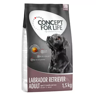 Concept for Life Labrador Retriever Adult - 4 x 1,5 kg - Sucha karma dla psów - miniaturka - grafika 1