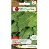 Nasiona i cebule - Legutko Szczaw zwyczajny Belwilski 5903837480005 - miniaturka - grafika 1