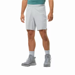 Krótkie spodenki męskie Jack Wolfskin PRELIGHT CHILL SHORTS M cool grey - S - Spodenki męskie - miniaturka - grafika 1
