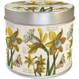 Skona Ting Świeczka żonkile zapach cytrynowy Wielkanoc - Świece - miniaturka - grafika 1