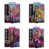 Lalki dla dziewczynek - Monster High Lalka podstawowa HPD53, mix - miniaturka - grafika 1