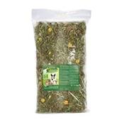 Karma dla gryzoni - MultiFit Grain Free Mniszek lekarski 1kg - miniaturka - grafika 1