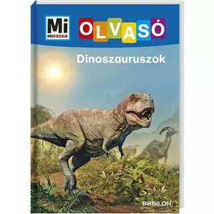 Co to jest: Dinozaury - edukacyjny z lekturami w jęz. węgierskim - Edukacja przedszkolna - miniaturka - grafika 1