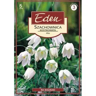 Nasiona i cebule - Szachownica Fritillaria Melagris Alba 5 sztuk Eden - miniaturka - grafika 1