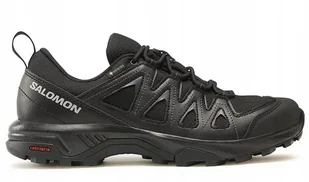 Buty męskie Salomon X Braze Gtx L47180400 R. 42 - Buty sportowe męskie - miniaturka - grafika 1