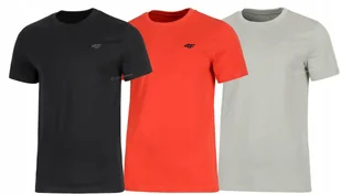 4F ZESTAW 3szt. 3-PAK MÄSKA KOSZULKA T-SHIRT 100% BAWEĹNA / rozm L - Koszulki męskie 4F ZESTAW 3szt. 3-PAK MÄSKA KOSZULKA T-SHIRT 100% BAWEĹNA / rozm L - Koszulki męskie - miniaturka - grafika 1