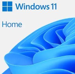 MS FPP WIN Home 11 64-bit German 1 License USB Flash Drive DE HAJ-00111