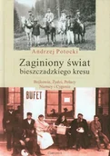 Historia świata - Zaginiony świat bieszczadzkiego kresu. Bojkowie, Żydzi, Polacy, Niemcy i Cyganie - miniaturka - grafika 1