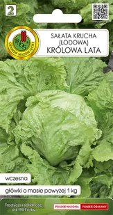Sałata lodowa krucha Królowa Lata nasiona Pnos - Nasiona i cebule - miniaturka - grafika 1