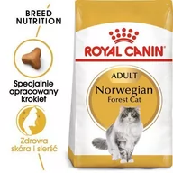 Sucha karma dla kotów - Royal Canin Norwegian Forest Adult 20 kg - miniaturka - grafika 1