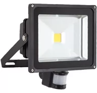 Lampy pozostałe - Volteno Volteno Naświetlacz LED z sensorem 30W zimna barwa światła IP65 VO0047 - miniaturka - grafika 1