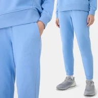 Spodnie damskie - Spodnie Damskie Dresowe 4f Xxl Joggery Ttrof1138 Ss25 - miniaturka - grafika 1