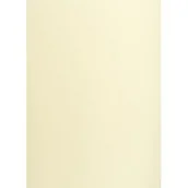 Scrapbooking - KARTON TOP A3 160G 12 KREM - miniaturka - grafika 1