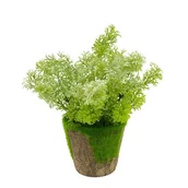 Sztuczne kwiaty - Sztuczna roślina w doniczce z kory i mchu dekoracyjna zielona UC30510 - miniaturka - grafika 1