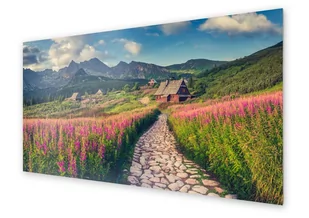 Panel kuchenny HOMEPRINT Krajobraz Tatr 100x50 cm - Obrazy i zdjęcia na płótnie - miniaturka - grafika 1