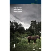 Felietony i reportaże - Czarne Miedzianka. Historia znikania. Wyd. 4 - Filip Springer - miniaturka - grafika 1