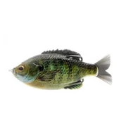 Przynęty - Przynęta S.G. Dc Slide Gill 6.5Cm/17G F Bluegill - miniaturka - grafika 1