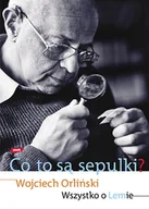 Biografie i autobiografie - Co to są sepulki? Wszystko o Lemie - miniaturka - grafika 1