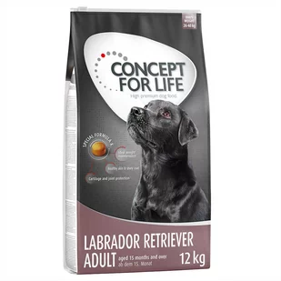 Concept for Life Labrador Retriever Adult 12 kg - Sucha karma dla psów - miniaturka - grafika 1